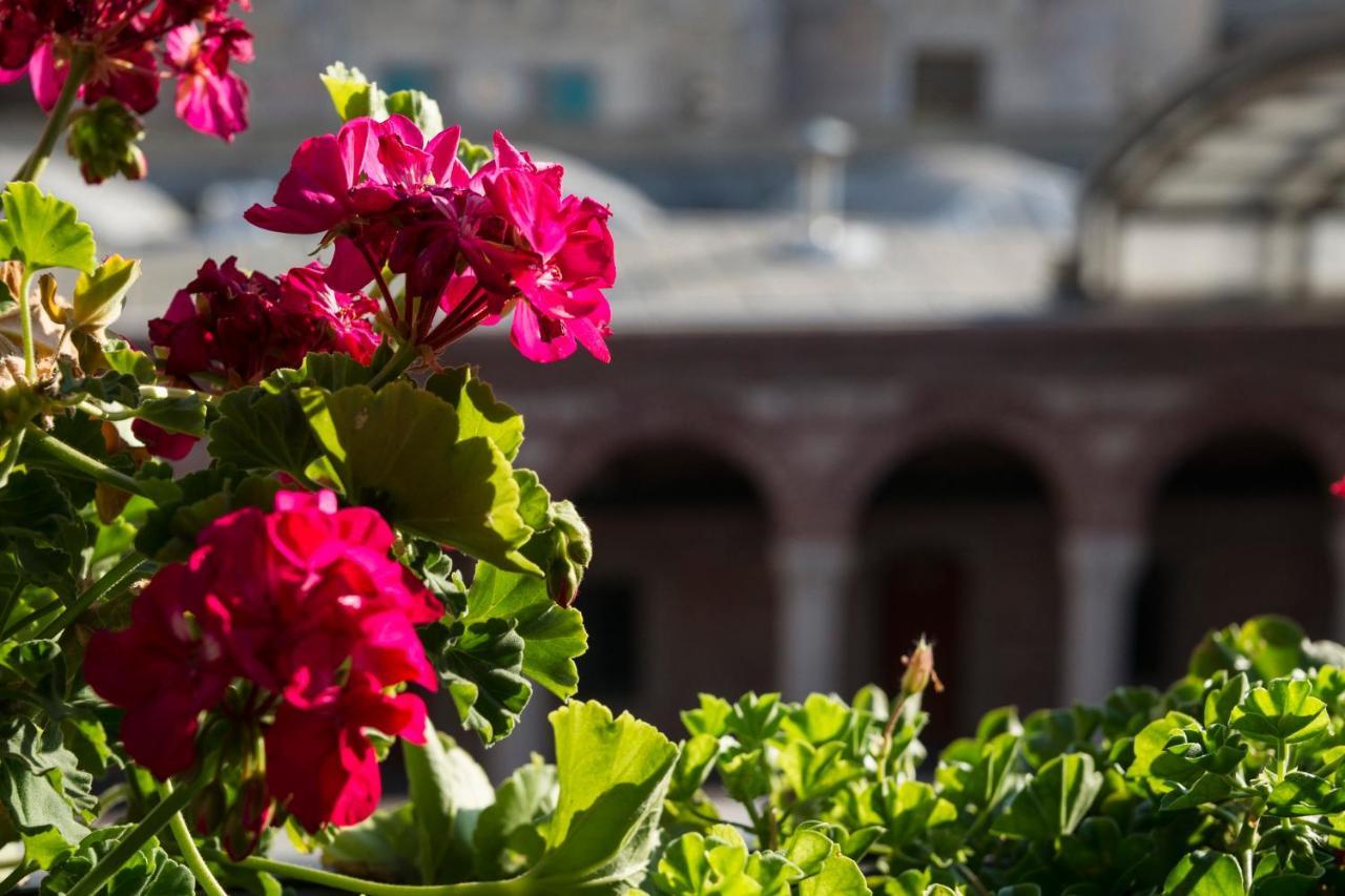 Régie Ottoman Istanbul - Special Category Hotel Exterior foto Geranium flowers in the courtyard of the San Francisco Museum of Modern Art